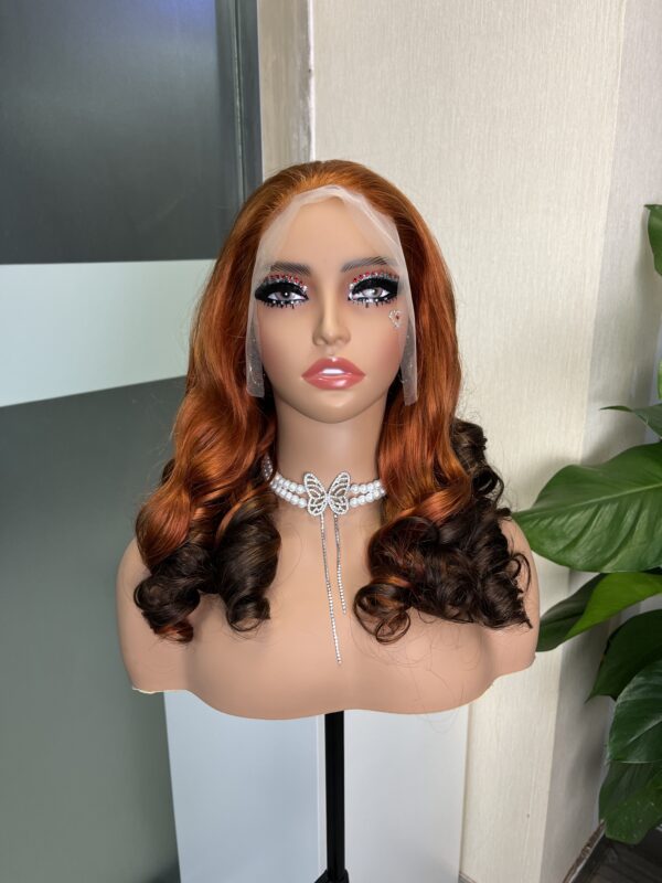 #350/4 Ombre Double Drawn Bouncy Curl 13x4 Transparent Lace Full Frontal 300% Density Wig - Image 2
